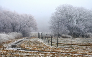 Картинка природа зима утро забор туман поле