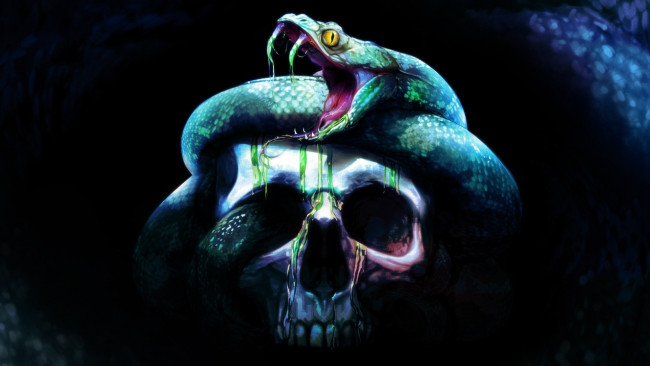Обои картинки фото фэнтези, нежить, фон, змея, страх, череп, skull