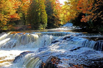 Картинка природа водопады осень река деревья лес водопад