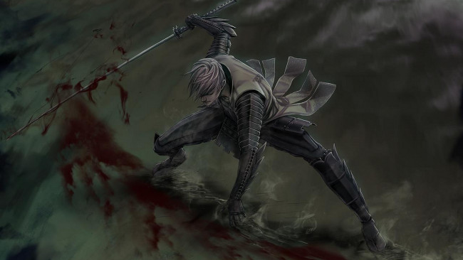 Обои картинки фото видео игры, sengoku basara, парень, воин, меч, кровь