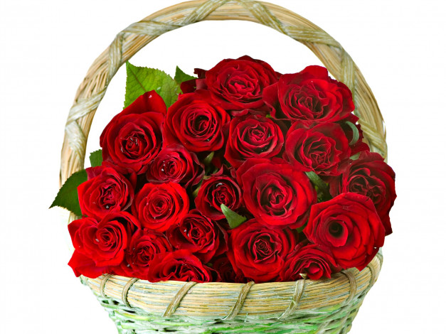 Обои картинки фото цветы, розы, корзинка, букет, красный