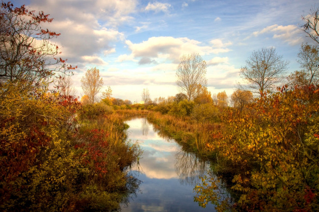 Обои картинки фото природа, реки, озера, осень, вода, кусты