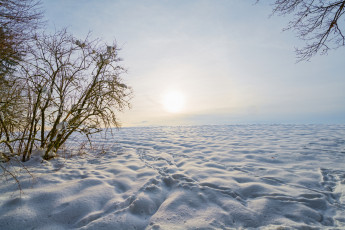 Картинка природа зима солнце следы снег