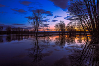 Картинка природа реки озера река вечер тучи деревья зарево