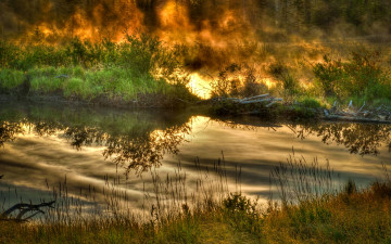 Картинка природа реки озера кусты лес озеро утро туман трава