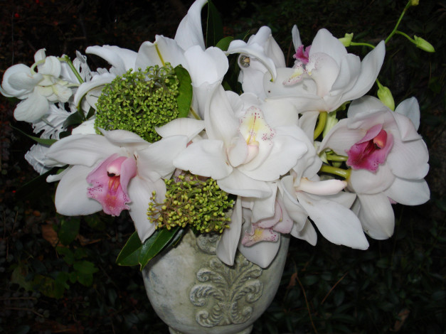 Обои картинки фото цветы, букеты, композиции, орхидеи