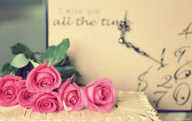 Обои картинки фото цветы, розы, розовый, часы