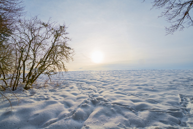 Обои картинки фото природа, зима, солнце, следы, снег
