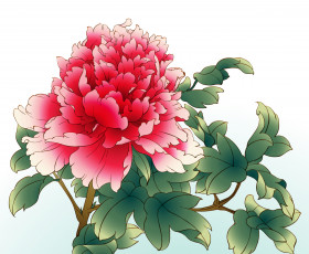 Картинка рисованные цветы пион