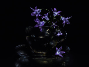 Картинка цветы колокольчики стеклянная чашка тёмный фон