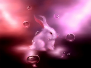 обоя рисованное, животные,  зайцы,  кролики, белый, заяц, пузырьки, розовый, зайчик, кролик