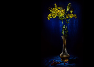 Картинка цветы лилии +лилейники натюрморт жёлтые ткань ягоды ваза черный фон