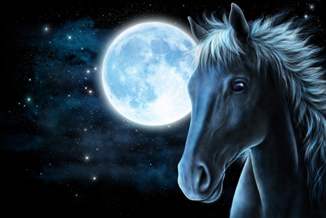 Обои картинки фото рисованное, животные,  лошади, звезды, луна, морда, конь, лошадь