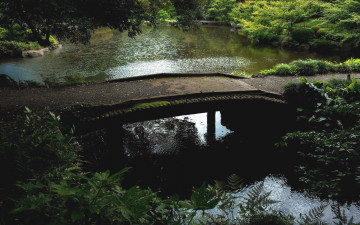 Картинка природа парк водоем мостик