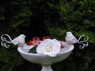Картинка цветы букеты +композиции птички фигурки роза альстромерия