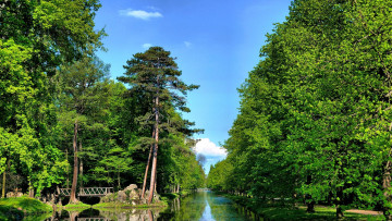 Картинка природа парк деревья мостик водоем