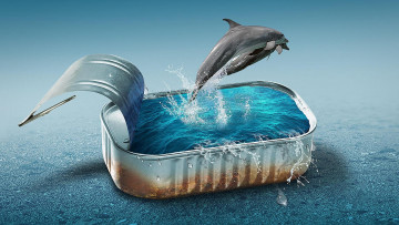 обоя юмор и приколы, дельфины, вода, банка