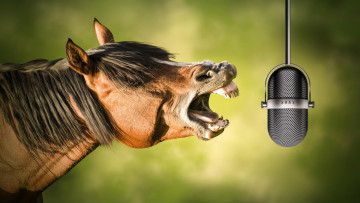 Картинка юмор+и+приколы ржание микрофон лошадь