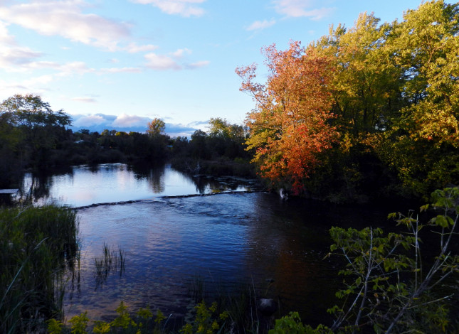 Обои картинки фото природа, реки, озера, вода, деревья, река, осень