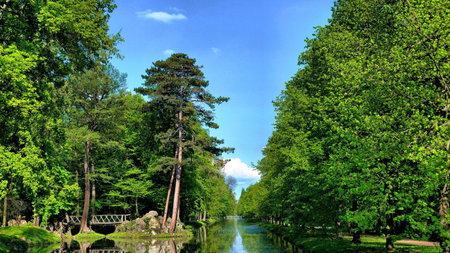 Обои картинки фото природа, парк, деревья, мостик, водоем