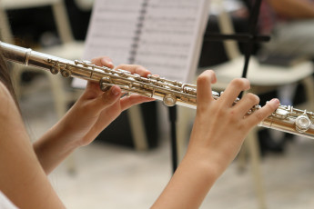 Картинка музыка -другое флейта