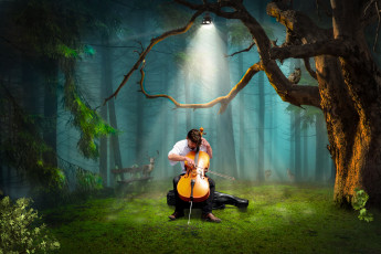 Картинка музыка -другое виолончель мужчина