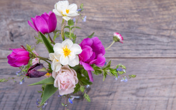 Картинка цветы букеты +композиции весна colorful wood pink тюльпаны tulips бутоны букет spring flowers
