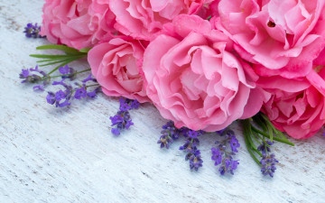 Картинка цветы разные+вместе розовые lavender пионы pink лаванда peonies flowers