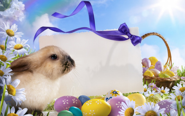 Обои картинки фото праздничные, пасха, пасхальный, кролик, корзинка, с, яйцами