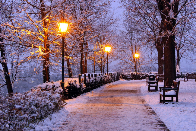 Обои картинки фото природа, парк, зима, вечер, фонари, снег