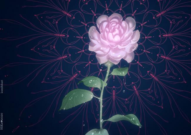 Обои картинки фото hiku, рисованное, цветы, роза