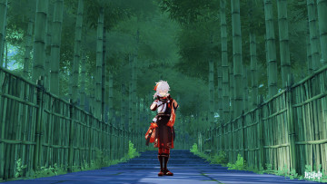 Картинка аниме genshin+impact девушка мост бамбук