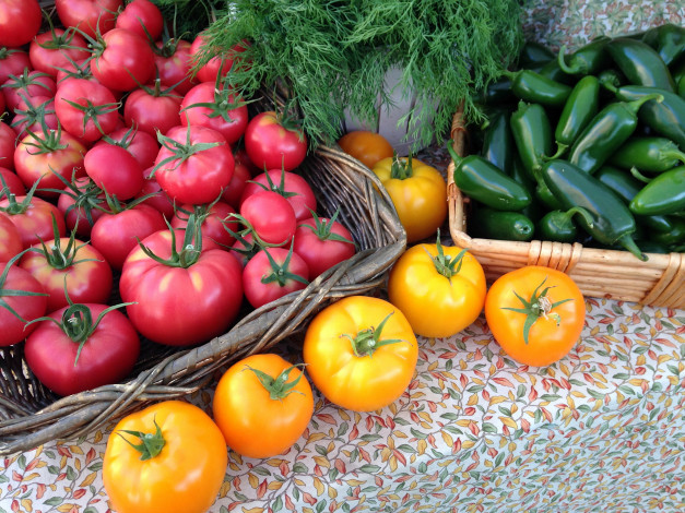 Обои картинки фото еда, овощи, укроп, перец, помидоры