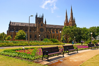 Картинка города сидней австралия воздушные пончики st marys cathedral