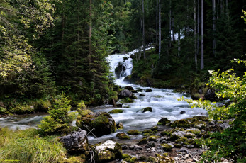 Картинка природа реки озера австрия халльштат