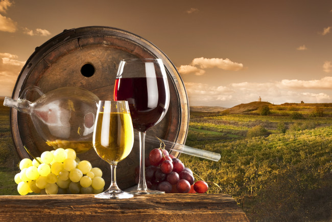 Обои картинки фото еда, напитки, вино, небо, облака, природа, бокалы, бочка, красное, белое, виноградник, виноград