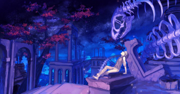 Картинка аниме *unknown+ другое скелет ночь парень арт mizukai колонны руины звезды небо цветы