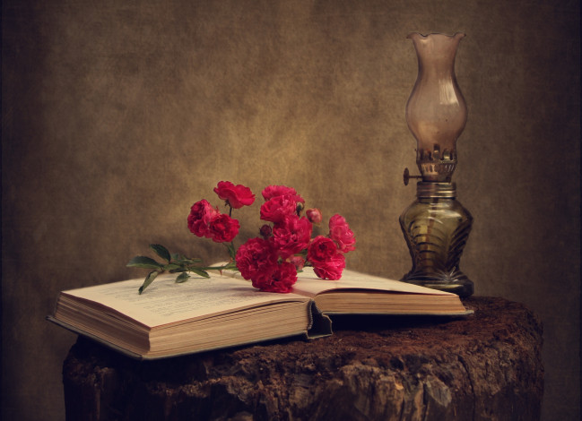 Обои картинки фото цветы, розы, книга, лампа