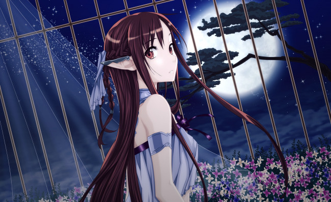 Обои картинки фото аниме, sword art online, решетка, дерево, уши, луна, yuuki, asuna, девушка, цветы, ночь