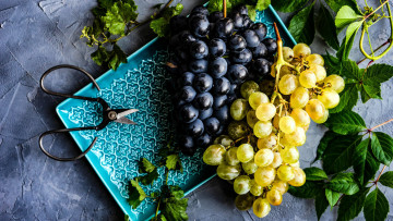 обоя еда, виноград, ножницы, грозди, листья