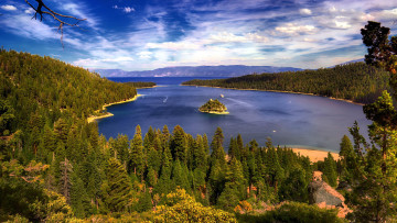 Картинка природа реки озера залив лес островок