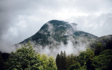 Картинка природа горы вершина гора туман