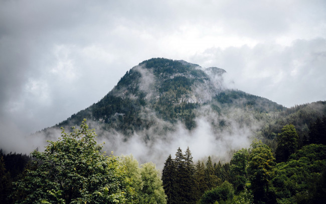 Обои картинки фото природа, горы, вершина, гора, туман