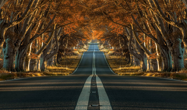 Обои картинки фото природа, дороги, шоссе