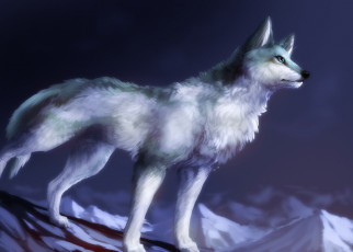 Картинка рисованные животные волки лапы