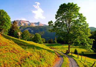 Картинка альпы природа дороги швейцария лето горы леса дерево дорога