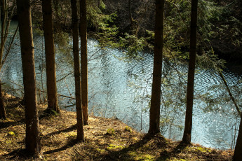 Картинка германия бавария зинцинг природа реки озера деревья река
