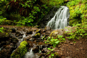 обоя природа, водопады, камни, вода, зелень