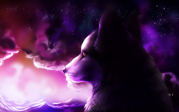Картинка рисованные животные волки звезды