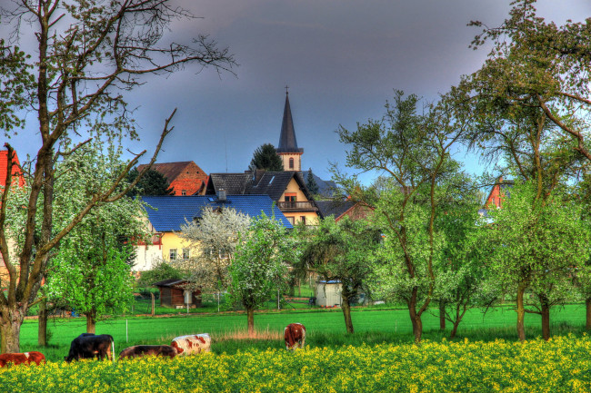 Обои картинки фото германия, гессен, хунген, города, пейзажи, дома, деревья, трава
